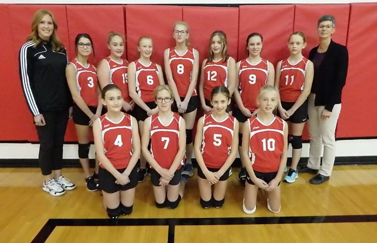 Volleyball Team